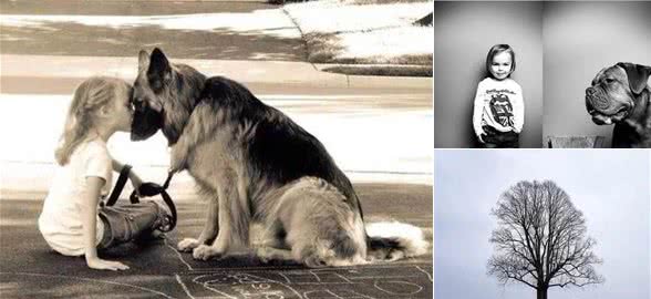 训犬顺口溜，简单易懂！