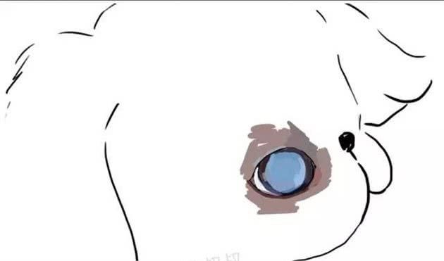 涨姿态·狗狗也会有白内障青光眼之类的眼疾吗？