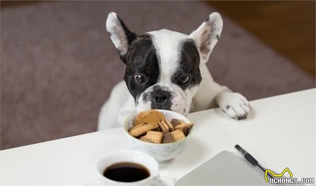 狗狗食物怎么做，自制犬粮方法与配方