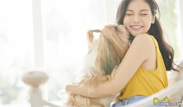 萌宠(狗狗)沟通方式全揭秘:学会这几招,日常交流无压力!