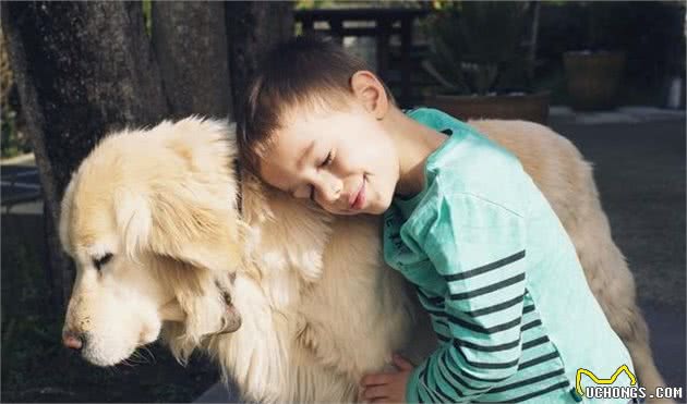 萌宠（狗狗）沟通方式全揭秘：学会这几招，日常交流无压力！