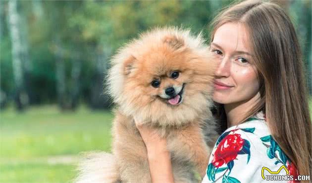 如何训练博美犬？关于吠叫等原因，有什么应对措施？