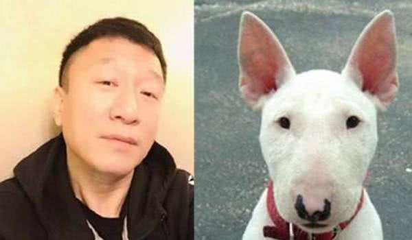 汪星人圈的小众群体梗类犬，有哪些特点？其包含的犬种你听过吗？