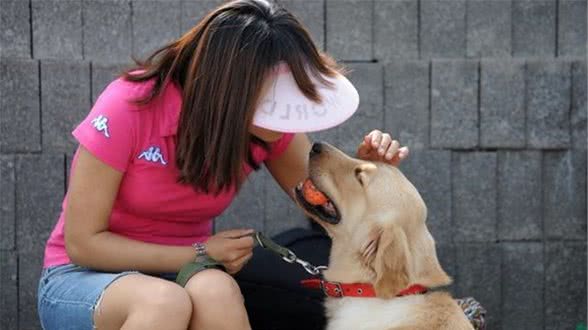 狗狗得了犬冠状病毒的早期症状和救治措施？