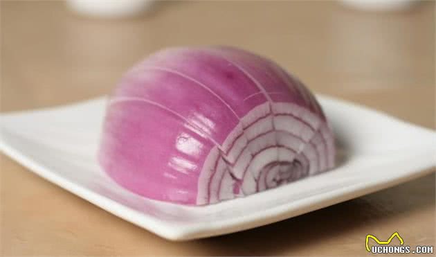 各位铲屎官注意了!狗狗要远离的5种食物!禁食&宜食全把握