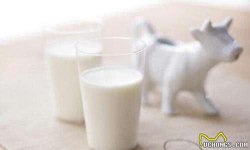 各位铲屎官注意了!狗狗要远离的5种食物!禁食&宜食全把握