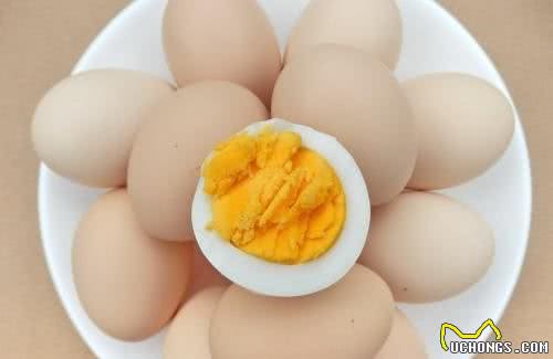 各位铲屎官注意了!狗狗要远离的5种食物!禁食&宜食全把握