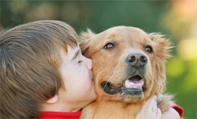 喂犬粮营养均衡需要注意的几点，保障狗狗健康生长