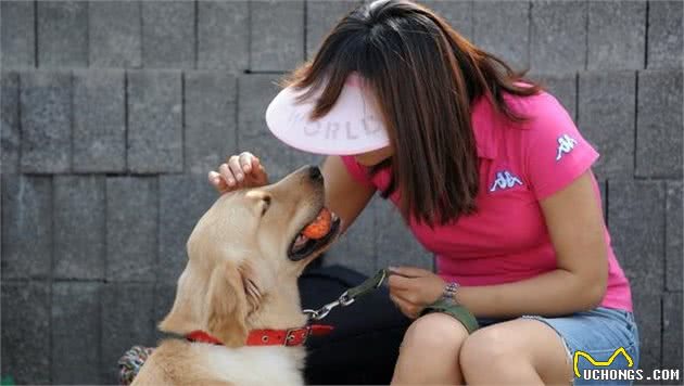 知道吗，其实狗也有自己的社交，只是大部分人进不去它们的朋友圈