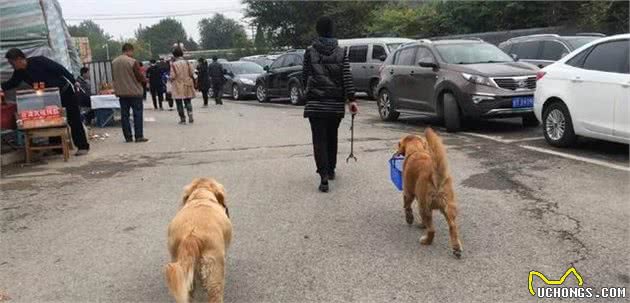 狗子喜欢随着你的真实原因都不知道，真辜负了它的一片狗心哪