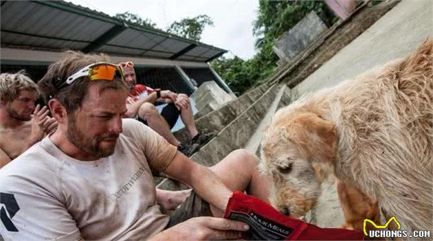 狗子喜欢随着你的真实原因都不知道，真辜负了它的一片狗心哪