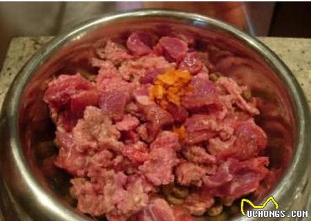 防止狗狗食物中毒，常见的6大要点你要知道