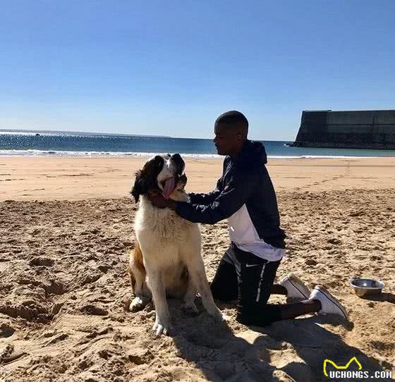 家有萌犬，威廉-卡瓦略偏爱圣伯纳犬，从小陪同到长大