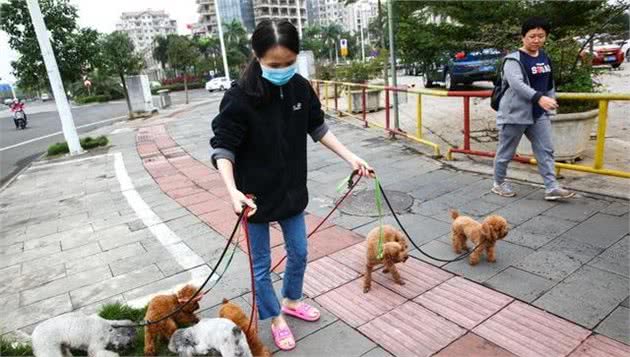 为什么要建议城市居民小区禁止养狗？