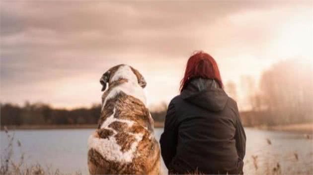 昨天好好的，今天没了？老年犬出现4个表现，主人要有心理豫备