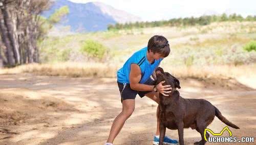 训练拉布拉多犬时，下面的这6种方式不可取，不然后果会很严重！