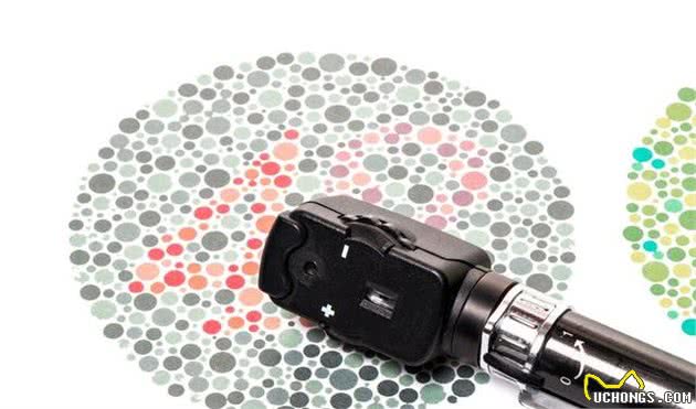 骂狗眼看人低的时候,或许你还不知道狗能是色盲和近视眼