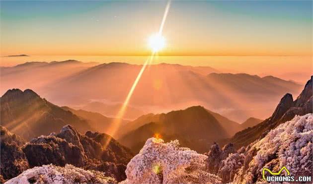 骂狗眼看人低的时候,或许你还不知道狗能是色盲和近视眼