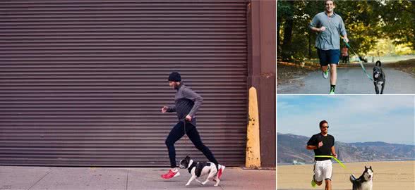 带着你的爱犬跑步，需要记住几点