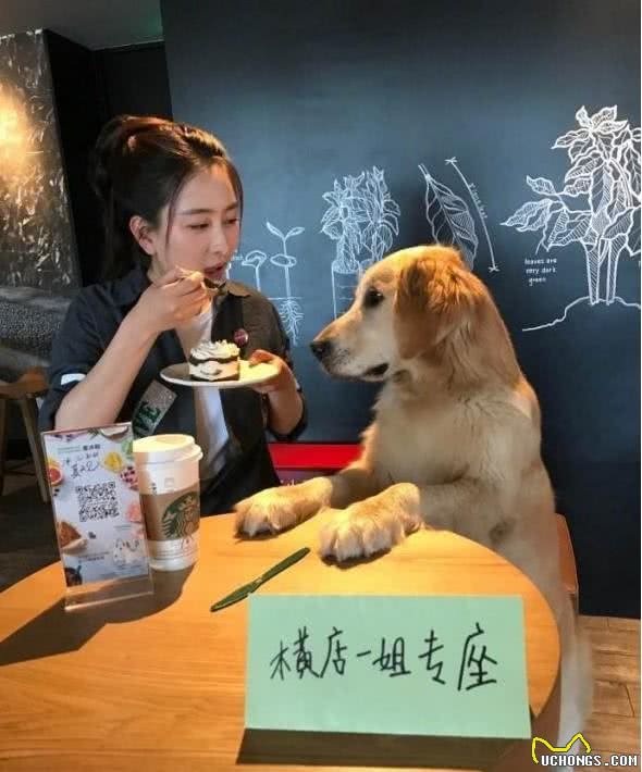 狗狗的这6种坏习惯，一旦出现，就应当给点惩罚！