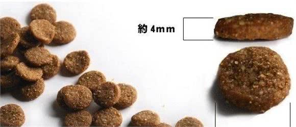 E宠课堂三:教你挑选适合自己狗狗的犬粮