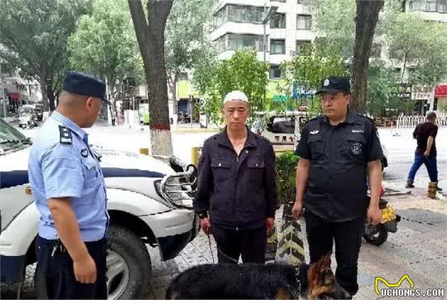 城中区多措并举扎实推动犬虽然理工作