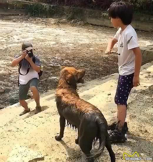 有小孩的家庭，尽可能别养狗，因为狗子太难了