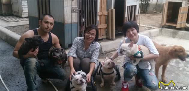 要是你的爱犬染上了重病怎么办，如何护理重症爱犬，看这里全知道