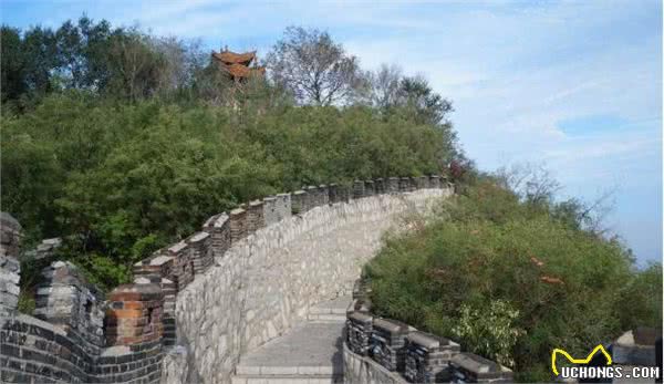 每天登山给主人送啤酒的狗狗，田园犬懂事的让人心疼