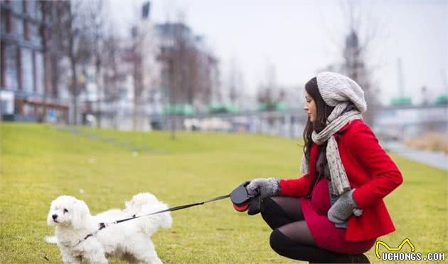 作为主人狂犬病毒你了解多少？如何做到有效预防狗狗患上狂犬病？