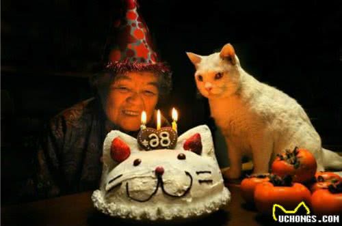 猫咪能陪我们多久