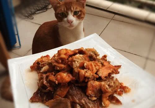 【美食攻略】自制猫咪零食之香烤三文鱼皮