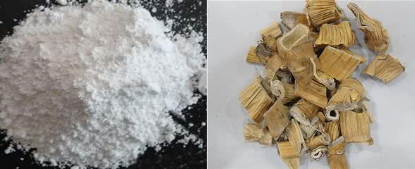 适合猫咪清热解毒的中药