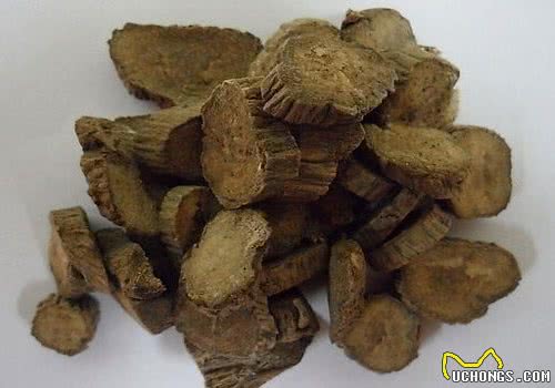 适宜猫咪的活血祛瘀药