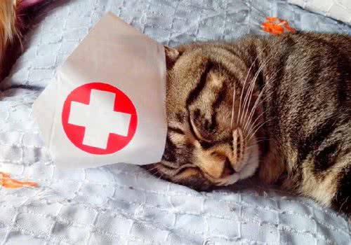 如何自制猫抓板