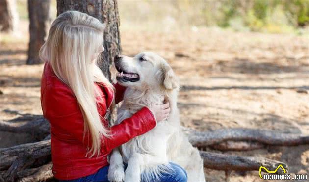 有这9种表现的狗，服从性都比较好，你家爱犬有这些表现吗？