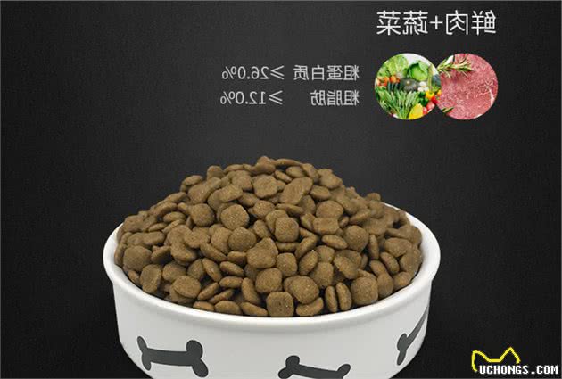 中华田园犬比其他狗身体更健康？5个原因完胜其他狗，网友：服气