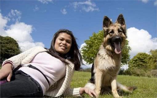 公布养“公犬”的五个好处，养了的人赚到了