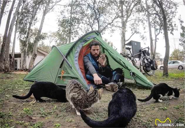 谁说猫比狗狗更宅我跟谁急？苏格兰铲屎官带着猫咪去旅行酷毙了！