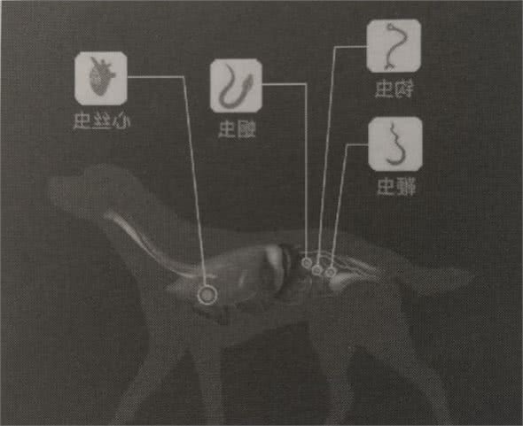 如何在家给狗狗做体内驱虫