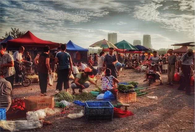 路遇两只狗，跨越品种和体型恋爱，狗有狗的心思和欢愉，跟人无关