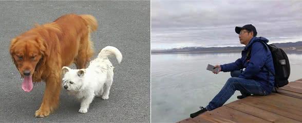路遇两只狗，跨越品种和体型恋爱，狗有狗的心思和欢愉，跟人无关
