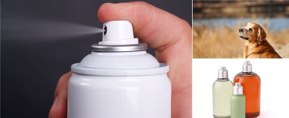 养宠资讯：宠物狗掉毛太厉害了怎么办？求教