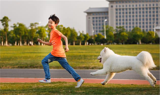 狗狗一般和主人走丢，都是通过什么办法回家？看到第三个有点心酸