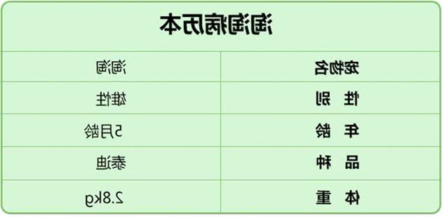 狗狗骨折了怎么办？看完这篇你就知道了