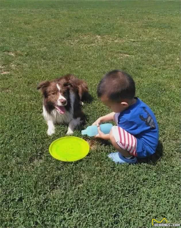 孩子和狗在一起生活，危险还是安全？|你应该知道的安全须知