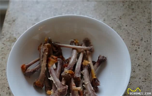 超实用！冬季狗狗喂食“禁忌”，你都记牢了吗？