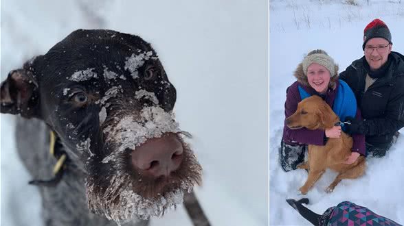 带狗狗去滑雪，狗狗突然对空气狂吠！这下立大功了