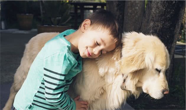 这几种小型犬，只要给它一口饭吃，就会对你死心塌地