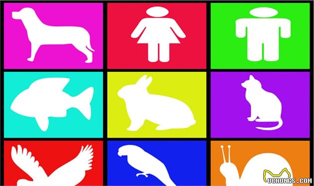 要不要给宝宝养个宠物